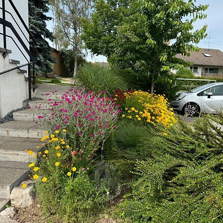 Appartement Haus Waldeck à Ühlingen-Birkendorf Extérieur photo